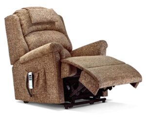 Albany Royale Fabric Electric Riser Recliner
