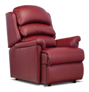 Albany Standard Leather Fixed Chair