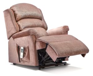 Albany Petite Fabric Electric Riser Recliner
