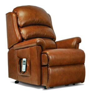 Albany Standard Leather Electric Riser Recliner