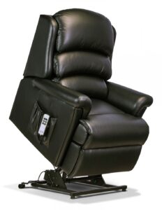 Albany Royale Leather Electric Riser Recliner