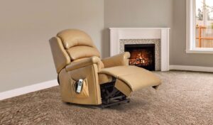 Albany Small Leather Electric Riser Recliner