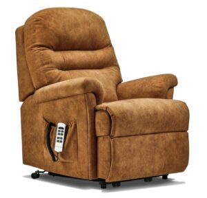 Beaumont Small Fabric Electric Riser Recliner