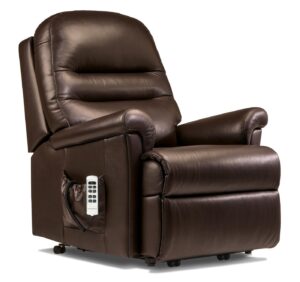 Beaumont Royale Leather Electric Riser Recliner