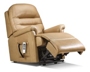 Beaumont Small Leather Electric Riser Recliner