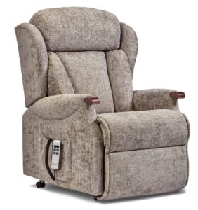 Cartmel Knuckle Standard Fabric Electric Riser Recliner