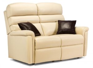 Comfi-sit Standard Leather Fixed 2-seater Settee