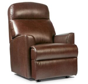 Harrow Small / Standard Leather Fixed Chair