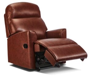 Harrow Small / Standard Leather Recliner