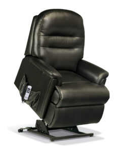 Keswick Petite Leather Electric Riser Recliner