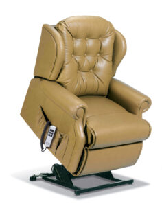 Lynton Petite Leather Electric Riser Recliner