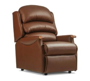 Malham Standard Leather Fixed Chair