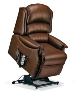 Malham Standard Leather Electric Riser Recliner