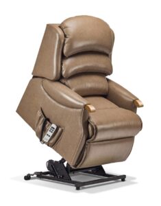 Malham Petite Leather Electric Riser Recliner