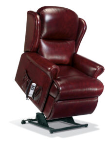 Malvern Standard Leather Electric Riser Recliner