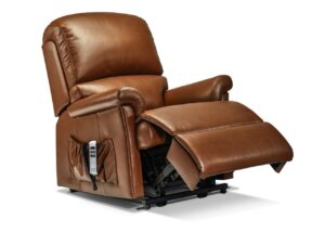 Nevada Petite Leather Electric Riser Recliner