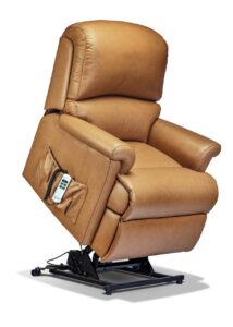 Nevada Small Leather Electric Riser Recliner