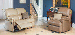 Nevada Small Leather Fixed Chair