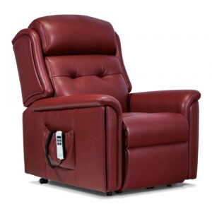 Roma Small Leather Electric Riser Recliner