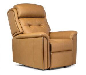 Roma Standard Leather Fixed Chair