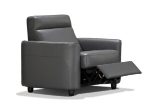 Iona – 1 Seater Rx Electric