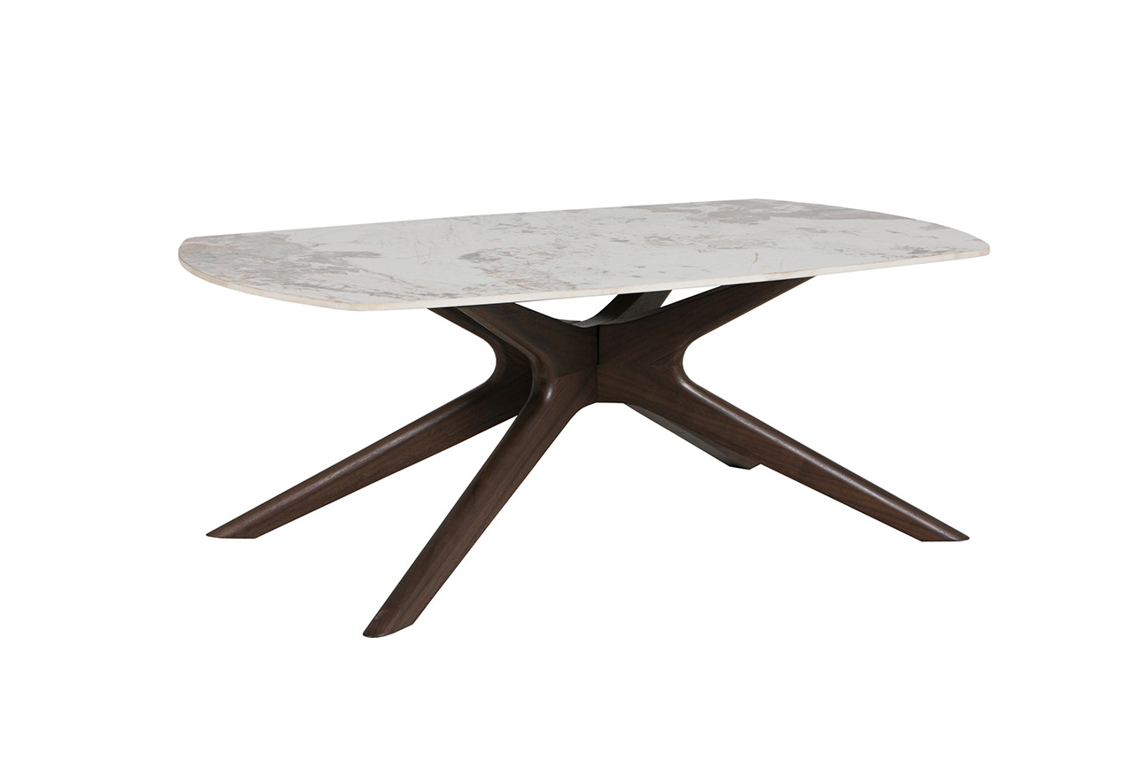 Ariya Coffee Table Brown - Main Image