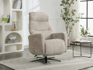 Lourdes – TV Chair – Fossil