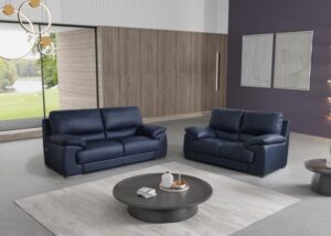 Iona – 2 Seater Fixed Navy