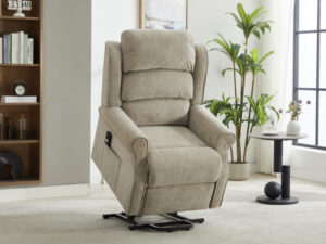 Lyon – Electric Lift & Tilt Rabbit- Single Motor